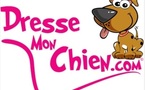 Morsure de chien sur bébé