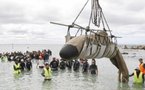 Un baleineau échoué sur la plage reprend le large mais sans sa mère