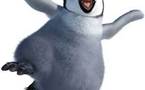 Le manchot Happy Feet, star de Nouvelle-Zélande, part retrouver les siens