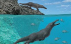 Une baleine à quatre pattes de 42,6 millions d'années découverte au Pérou
