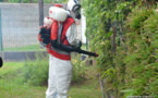 ​Dengue de type 2 : des foyers suspects à Mahina, Faa’a et Papara