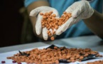 "Breaking Bad" au Japon: la fabrication d'ecstasy au programme à la fac