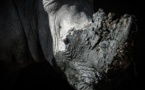 Jusqu'à 1 million d'espèces pourraient être menacées d'extinction