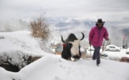 Inde : au moins 300 yacks morts de faim dans l'Himalaya