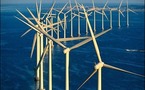 Eolien marin: une association demande la suspension d'une expérimentation