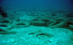 A Cannes, la fin d'un faux récif de vieux pneus, une hérésie environnementale