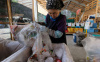 Au Japon, un village vise zéro déchet d'ici 2020
