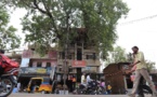 En Inde, une maison construite autour d'un arbre