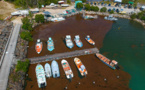 Plus de 370.000 euros pour ramasser les sargasses qui prolifèrent à Saint-Martin