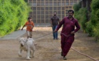 Au Pakistan, des lions comme animaux de compagnie