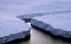 En Antarctique, 2014 fut une année charnière et on ne sait pas pourquoi