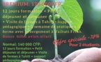 Une formation à la permaculture en juillet à Tahiti