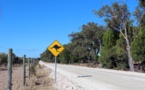 Australie: quatre enfants font 1.000 kilomètres au volant d'un 4x4 volé