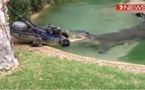 Australie : un crocodile s'attaque à une tondeuse à gazon