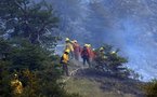 Deuxième incendie au Chili: un mort et 8.000 ha détruits