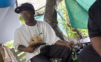 Des élus de Martinique réclament "des mesures ambitieuses" contre la prolifération des armes