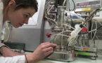 Carbios: la promesse d'un plastique recyclable à l'infini ou compostable dans son jardin