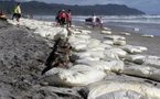 NZ: Des vagues de déchets issus du porte-conteneurs Rena déferlent sur les plages de Tauranga