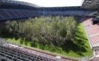 Une forêt plantée sur le terrain d'un stade autrichien