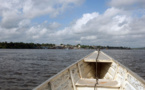 Dans les eaux guyanaises, la découverte d'un écosystème "unique au monde"