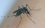 ​Dengue 2 : la Polynésie prépare son entrée en saison chaude