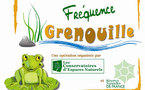 "Fréquence grenouille": pour aider les amphibiens et sensibiliser le public