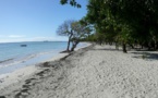 Plus de 250 espèces de la flore de Guadeloupe menacées