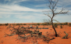 Disparitions dans l'Outback australien: un corps retrouvé deux semaines après