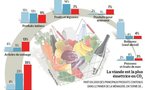 Que pèse le panier des ménages en terme de contenu carbone?
