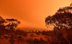 Australie: des stars se mobilisent pour aider les victimes des incendies