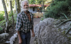 Au Nicaragua, un artiste vit en ermite pour sculpter la montagne