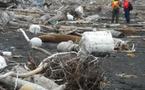 Une grande quantité de débris du tsunami japonais échouée en Alaska