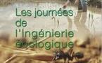 Le CNRS invite sur ses sites de réhabilitation écologique de zones polluées