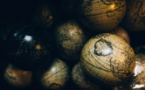 Pour des millions de Brésiliens, la Terre est plate