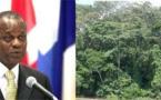 Les grands bassins forestiers tropicaux devraient signer un accord à Rio