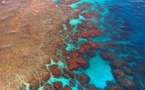 Australie: la Grande Barrière vient de vivre son pire épisode de blanchissement de coraux