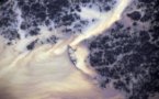 Le Nigeria inflige une amende de 5 mds USD pour pollution à Shell qui conteste