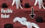 Un robot mou qui se gonfle et se dégonfle pour marcher et se camoufler