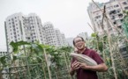 A Hong Kong, concombres et carottes cultivés entre ciel et terre