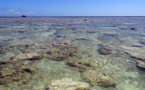 Les coraux menacés dans les îles françaises de l'océan Indien