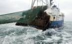 Pêche: le paysage sous-marin littéralement terrassé par les chaluts