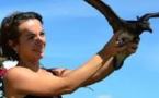 Conférence sur les Petrels, oiseaux  marins protégés, samedi 22 septembre à la Mairie de Pirae