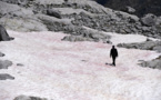 La mystérieuse neige rose d'un glacier des Alpes italiennes