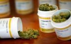 Ces malades qui, face à la douleur, consomment du cannabis
