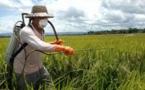 Vers une fiscalité incitative pour réduire l'usage des pesticides