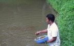 Les pays océaniens préparent un avenir meilleur grâce à un plan pour l'aquaculture