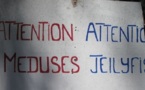 Attention  aux  méduses à la pointe Vénus