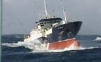 La pêche dans les mers Australes, un modèle de gestion du poisson, très lucratif