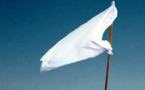 Papara : dame blanche ou drapeau ?