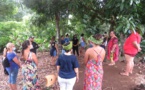 Immersion culturelle sur l'île sœur